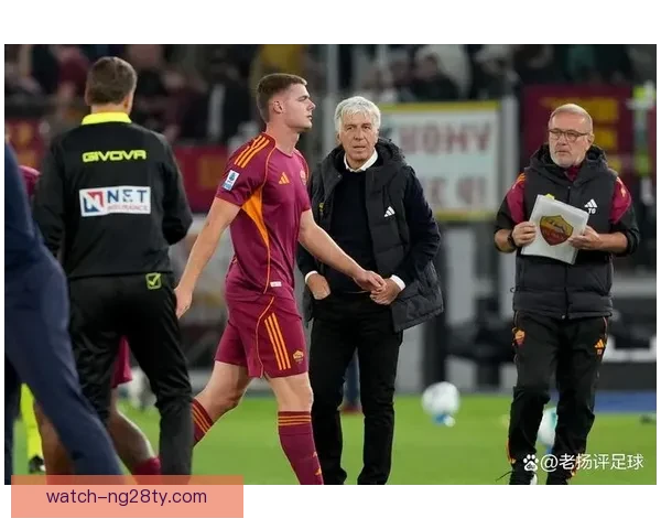 弗格森伤病引爆国际争议爱尔兰