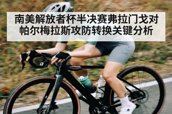 南美解放者杯半决赛弗拉门戈对帕尔梅拉斯攻防转换关键分析 - NG28